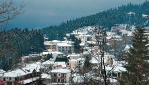 Περτούλι και Ελάτη